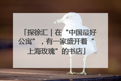 探徐汇｜在“中国最好公寓”，有一家盛开着“上海玫瑰”的书店