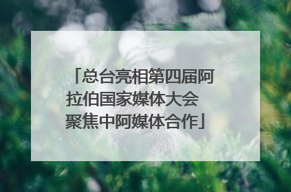 总台亮相第四届阿拉伯国家媒体大会 聚焦中阿媒体合作