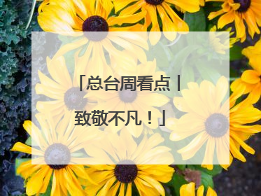 总台周看点丨致敬不凡！