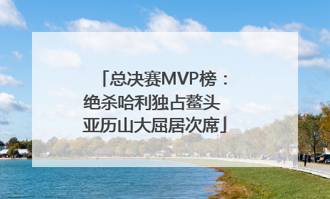 总决赛MVP榜：绝杀哈利独占鳌头 亚历山大屈居次席