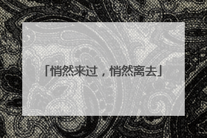 悄然来过，悄然离去