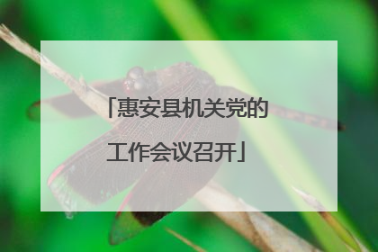 惠安县机关党的工作会议召开