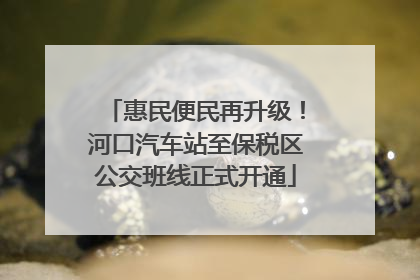 惠民便民再升级！河口汽车站至保税区公交班线正式开通