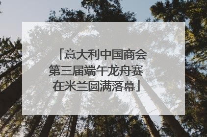意大利中国商会第三届端午龙舟赛在米兰圆满落幕