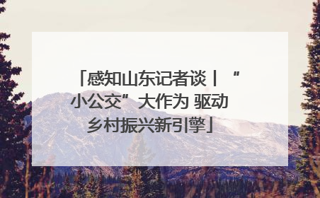 感知山东记者谈丨“小公交”大作为 驱动乡村振兴新引擎