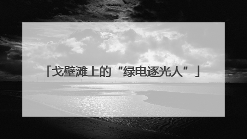 戈壁滩上的“绿电逐光人”