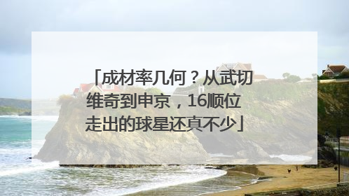 成材率几何？从武切维奇到申京，16顺位走出的球星还真不少