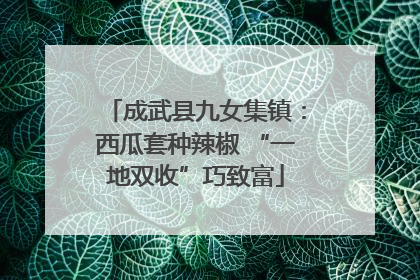 成武县九女集镇：西瓜套种辣椒 “一地双收”巧致富