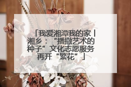 我爱湘潭我的家丨湘乡：“播撒艺术的种子”文化志愿服务再开“繁花”