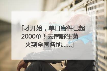 才开始，单日寄件已超2000单！云南野生菌火到全国各地……