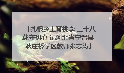 扎根乡土育桃李 三十八载守初心 记河北省宁晋县耿庄桥学区教师张志涛