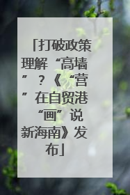 打破政策理解“高墙”？《“营”在自贸港 “画”说新海南》发布