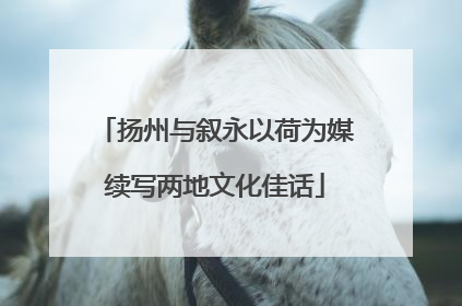 扬州与叙永以荷为媒续写两地文化佳话