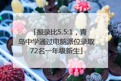 报录比5.5:1，青岛中学通过电脑派位录取72名一年级新生