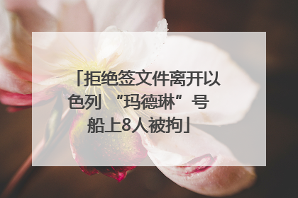 拒绝签文件离开以色列 “玛德琳”号船上8人被拘