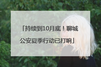 持续到10月底！聊城公安夏季行动已打响