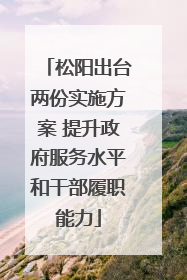松阳出台两份实施方案 提升政府服务水平和干部履职能力