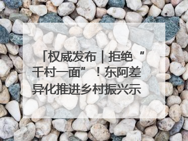 权威发布｜拒绝“千村一面”！东阿差异化推进乡村振兴示范片区建设