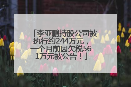 李亚鹏持股公司被执行约244万元，一个月前因欠税561万元被公告！
