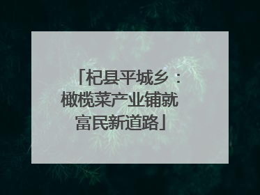 杞县平城乡：橄榄菜产业铺就富民新道路