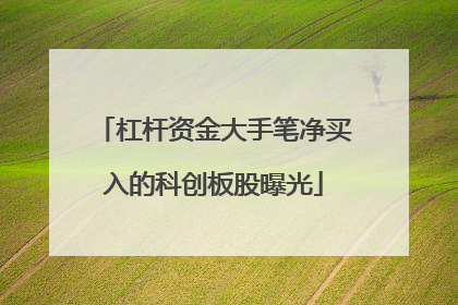 杠杆资金大手笔净买入的科创板股曝光