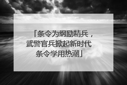 条令为纲励精兵，武警官兵掀起新时代条令学用热潮