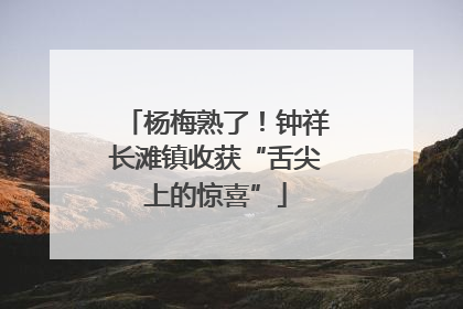 杨梅熟了！钟祥长滩镇收获“舌尖上的惊喜”