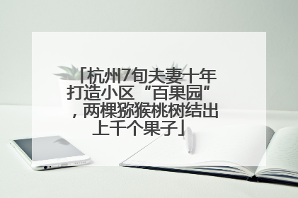 杭州7旬夫妻十年打造小区“百果园”，两棵猕猴桃树结出上千个果子