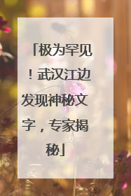 极为罕见！武汉江边发现神秘文字，专家揭秘