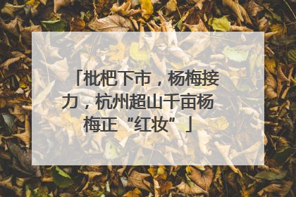 枇杷下市，杨梅接力，杭州超山千亩杨梅正“红妆”