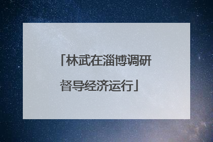 林武在淄博调研督导经济运行