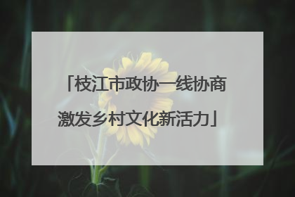 枝江市政协一线协商激发乡村文化新活力