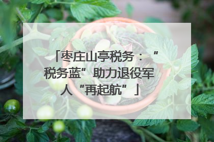 枣庄山亭税务：“税务蓝”助力退役军人“再起航”