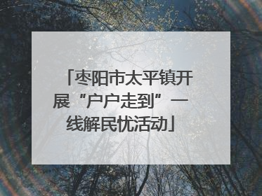 枣阳市太平镇开展“户户走到”一线解民忧活动