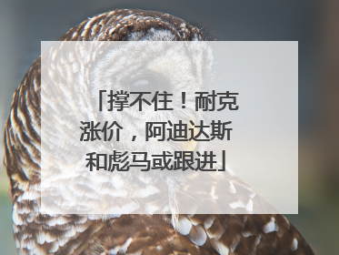 撑不住！耐克涨价，阿迪达斯和彪马或跟进