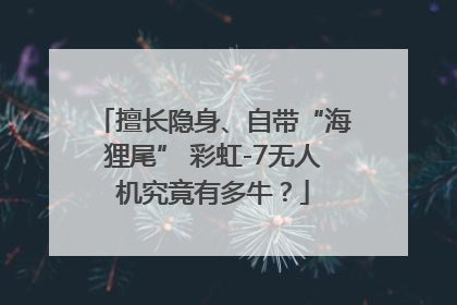 擅长隐身、自带“海狸尾” 彩虹-7无人机究竟有多牛？