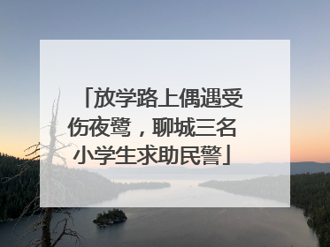 放学路上偶遇受伤夜鹭，聊城三名小学生求助民警