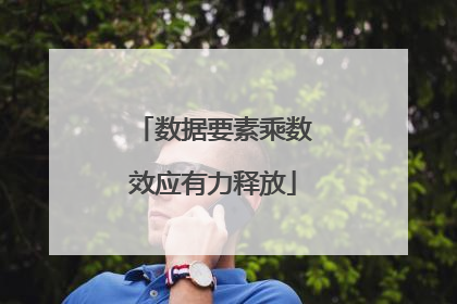 数据要素乘数效应有力释放