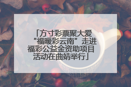 方寸彩票聚大爱 “福暖彩云南”走进福彩公益金资助项目活动在曲靖举行