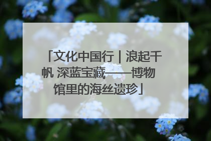 文化中国行｜浪起千帆 深蓝宝藏——博物馆里的海丝遗珍