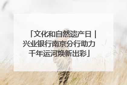 文化和自然遗产日｜兴业银行南京分行助力千年运河焕新出彩