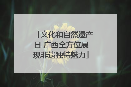 文化和自然遗产日 广西全方位展现非遗独特魅力