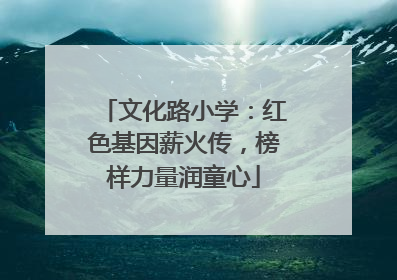 文化路小学：红色基因薪火传，榜样力量润童心