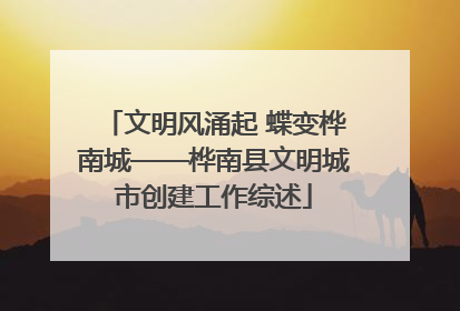 文明风涌起 蝶变桦南城——桦南县文明城市创建工作综述