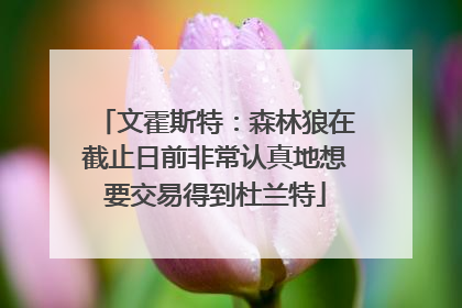 文霍斯特：森林狼在截止日前非常认真地想要交易得到杜兰特