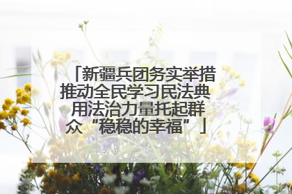 新疆兵团务实举措推动全民学习民法典 用法治力量托起群众“稳稳的幸福”