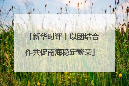 新华时评丨以团结合作共促南海稳定繁荣