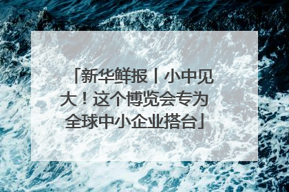 新华鲜报丨小中见大！这个博览会专为全球中小企业搭台