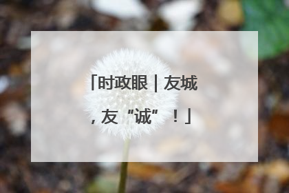 时政眼｜友城，友“诚”！