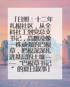 日照：十二年扎根社区，从全科社工到党总支书记，高麒滢像一株顽强的巴根草，把根深深扎进基层的土壤——“巴根草书记”的夏日叙事